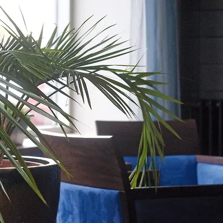 Ter Streep Hotel 3*