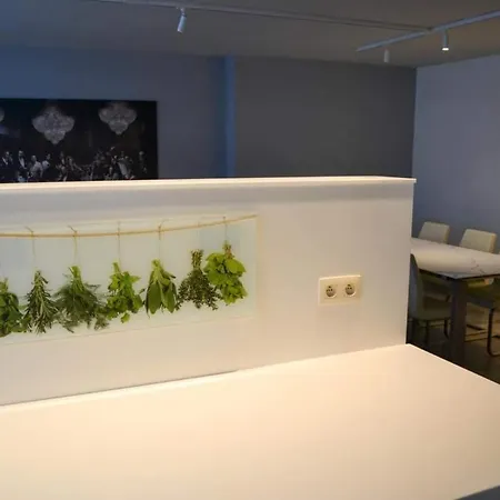Hotel Ter Streep